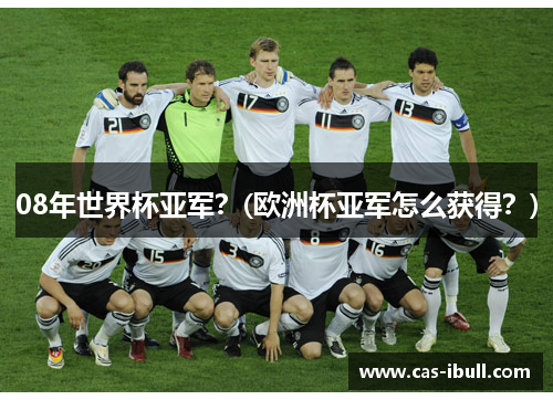 08年世界杯亚军？(欧洲杯亚军怎么获得？)