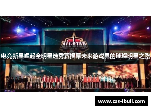 电竞新星崛起全明星选秀赛揭幕未来游戏界的璀璨明星之路