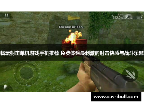 畅玩射击单机游戏手机推荐 免费体验最刺激的射击快感与战斗乐趣