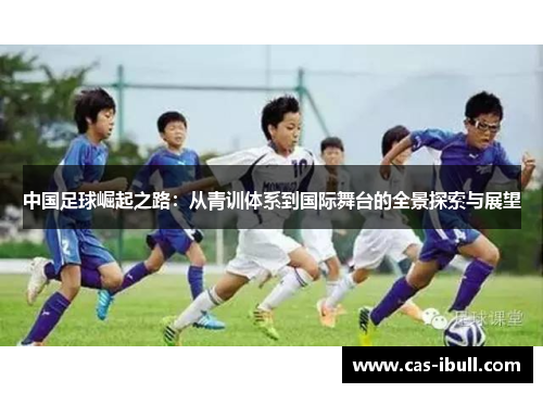 中国足球崛起之路：从青训体系到国际舞台的全景探索与展望