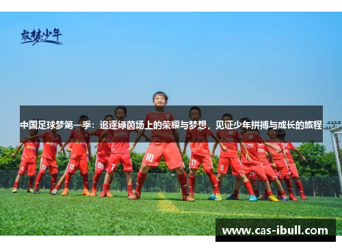 中国足球梦第一季：追逐绿茵场上的荣耀与梦想，见证少年拼搏与成长的旅程