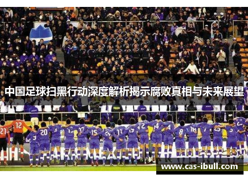 中国足球扫黑行动深度解析揭示腐败真相与未来展望