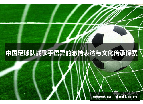 中国足球队战歌手语舞的激情表达与文化传承探索
