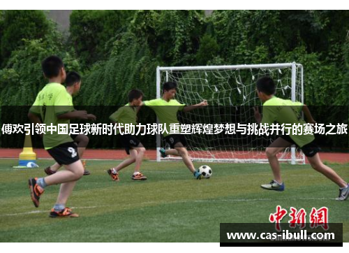 傅欢引领中国足球新时代助力球队重塑辉煌梦想与挑战并行的赛场之旅