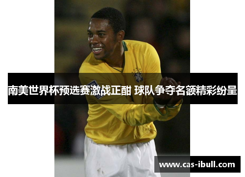 南美世界杯预选赛激战正酣 球队争夺名额精彩纷呈