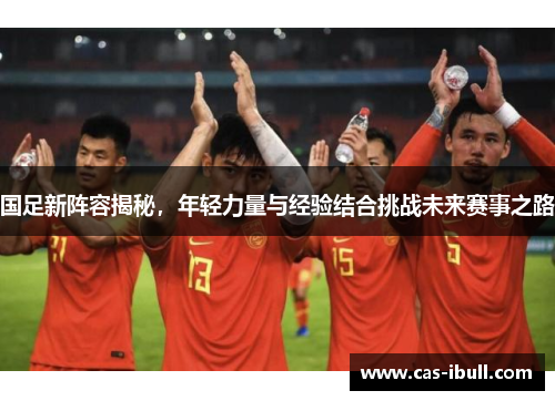 国足新阵容揭秘，年轻力量与经验结合挑战未来赛事之路