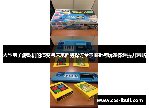 大型电子游戏机的演变与未来趋势探讨全景解析与玩家体验提升策略