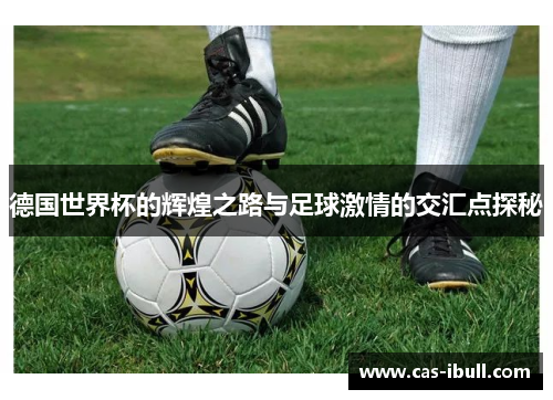 德国世界杯的辉煌之路与足球激情的交汇点探秘