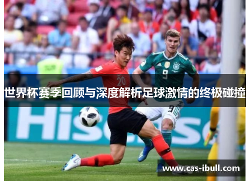 世界杯赛季回顾与深度解析足球激情的终极碰撞