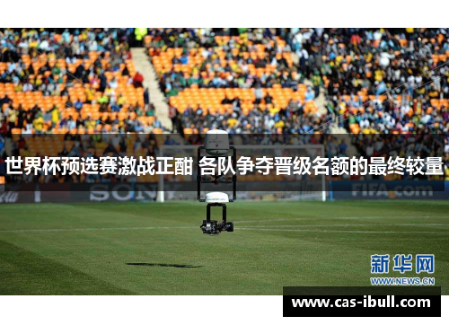 世界杯预选赛激战正酣 各队争夺晋级名额的最终较量