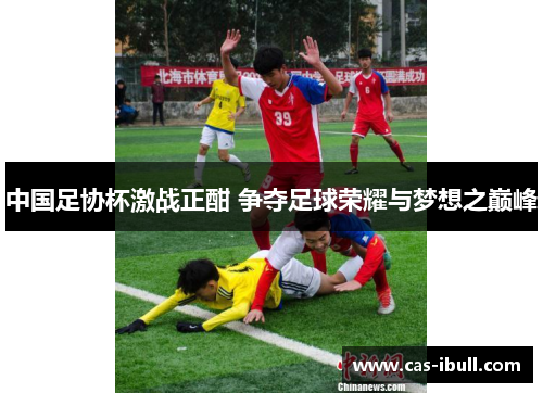 中国足协杯激战正酣 争夺足球荣耀与梦想之巅峰