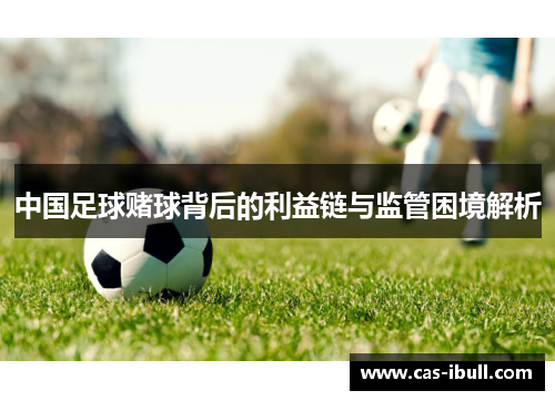 中国足球赌球背后的利益链与监管困境解析