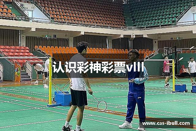认识彩神彩票vIII
